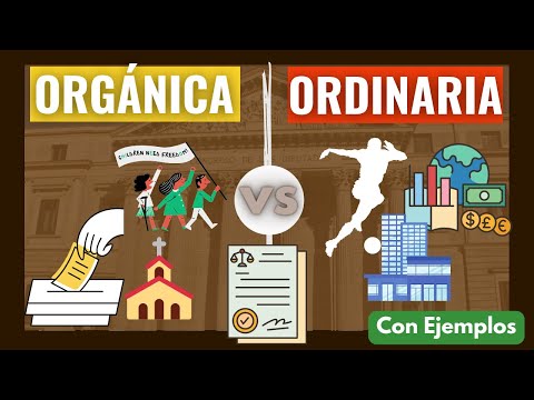 La importancia de la parte orgánica de la Constitución Española