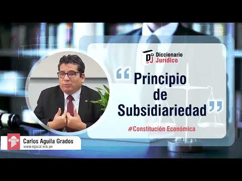 ¿Qué es el principio de subsidiariedad?