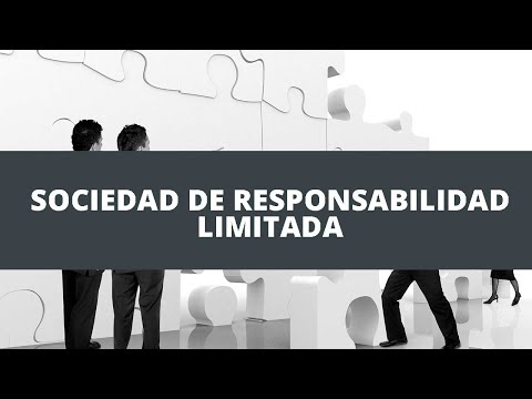 Ejemplo de una sociedad de responsabilidad limitada: características y funcionamiento