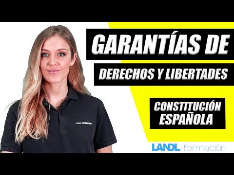 Protección constitucional de los derechos y libertades