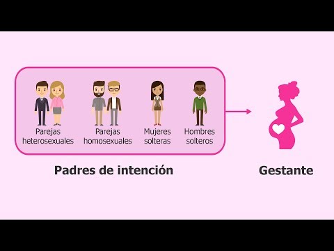 La diferencia entre gestación subrogada y vientre de alquiler