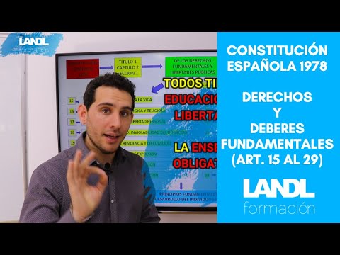 El artículo 3 de la Constitución Española: derechos y deberes fundamentales