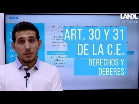 El artículo 8 de la Constitución Española: derechos y deberes de los ciudadanos