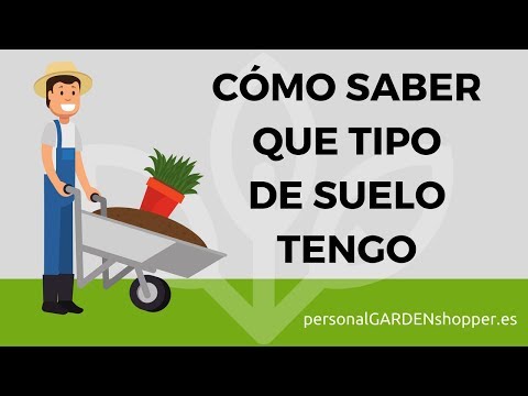 Cómo identificar el tipo de suelo de un terreno