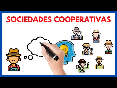 ¿Qué es una cooperativa de trabajo asociado?