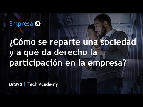 ¿Qué son las participaciones de una empresa?