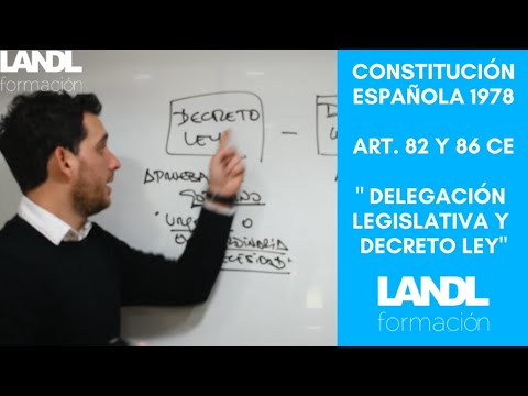 El artículo 81 de la Constitución Española: derechos y deberes de los ciudadanos